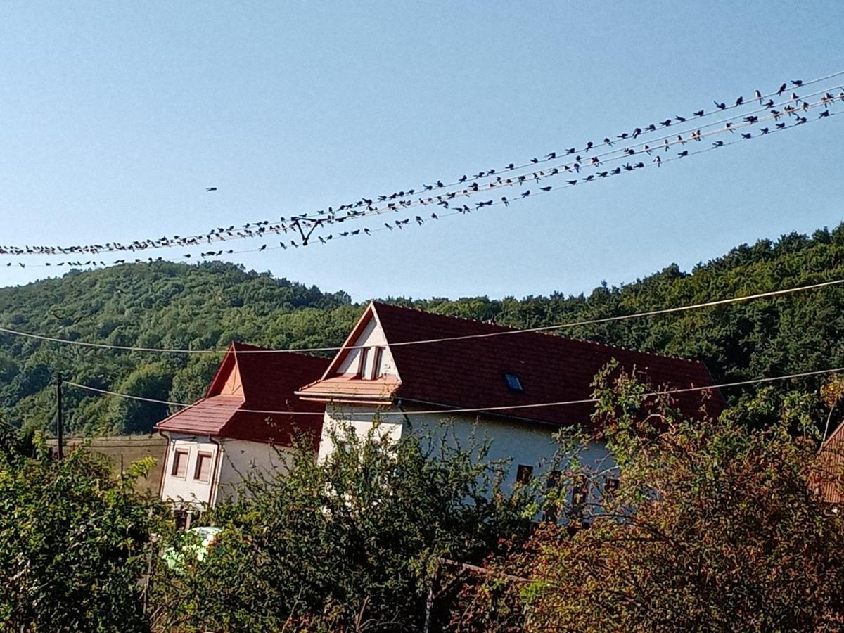 Kalaris Vendeghaz Apartment Hollókő Bagian luar foto